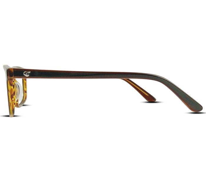 Glasses – Tortoiseshell & Brown Gradient - Image 4
