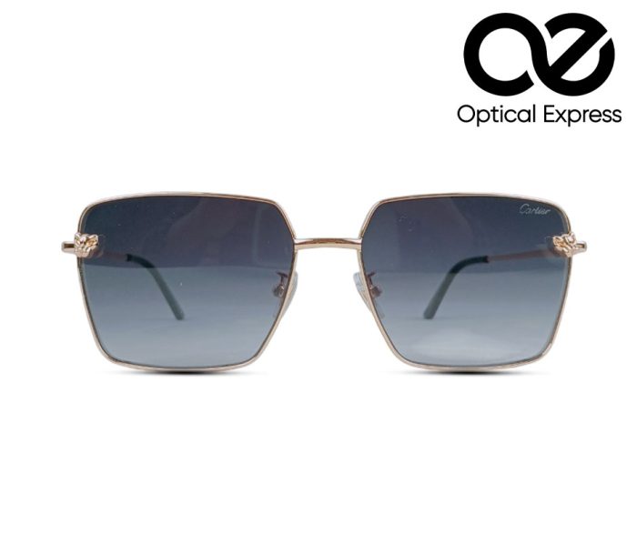Gold CT0441 C1 Sunglasses - Image 1