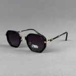 P3906 C5 Gold & Black Polarized Sunglass - Image 2